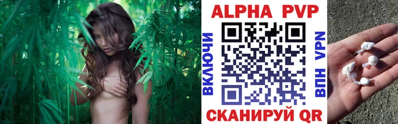 Альфа ПВП СК  где продают наркотики  Дигора 