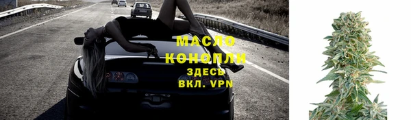 2c-b Бородино