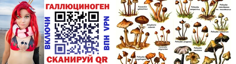 Галлюциногенные грибы Magic Shrooms  что такое наркотик  Дигора 